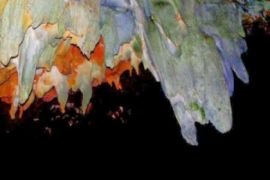 save_20180223_215108