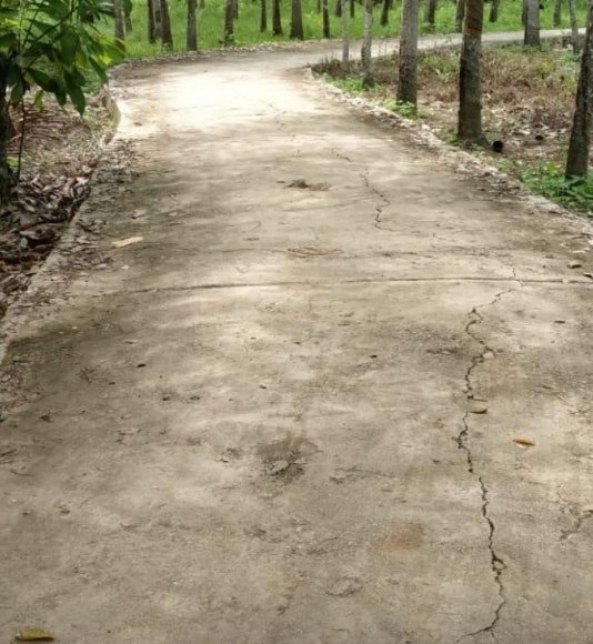 Inspektorat Diminta Periksa Bangunan ADD Desa Beringin Jaya IMG_20191106_194527