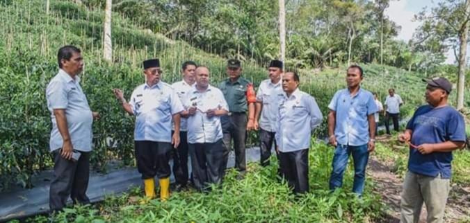 Arwin Siregar Tinjau Kebun Bawang Dan Cabai Warga Di Angkola Julu IMG_20200205_222226