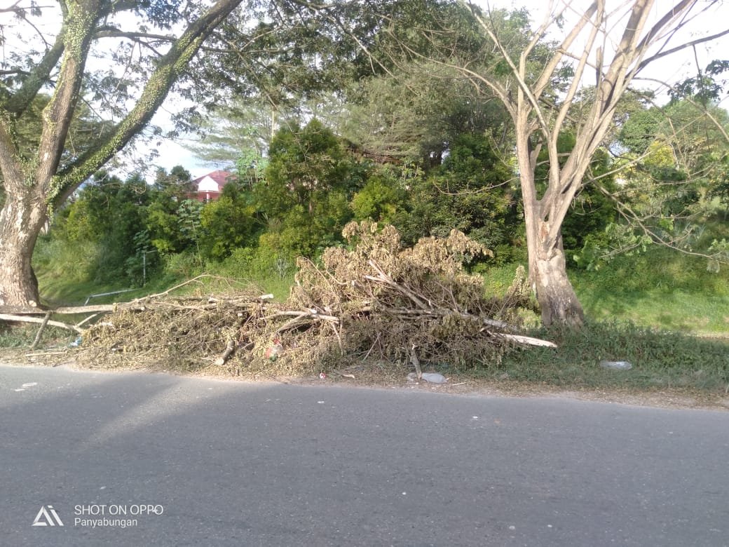 PLN ULP Panyabungan Tak Hiraukan Kebersihan Kota Panyabungan IMG-20200813-WA0017