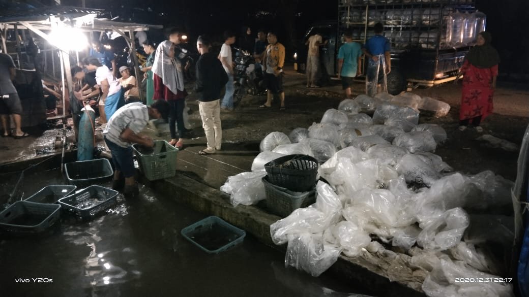Jelang Malam Pergantian Tahun, Permintaan Ikan Mas di Kota Panyabungan Meningkat IMG-20201231-WA0038