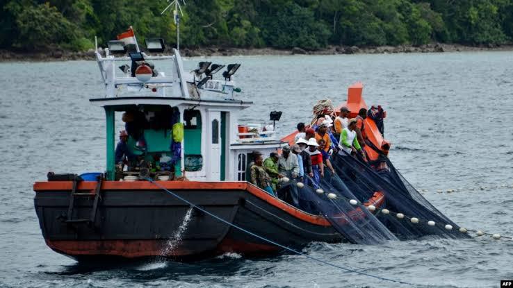 Nelayan Pesisir Barat Madina, Penangkapan Ikan Ilegal, Kapal Pukat Harimau.